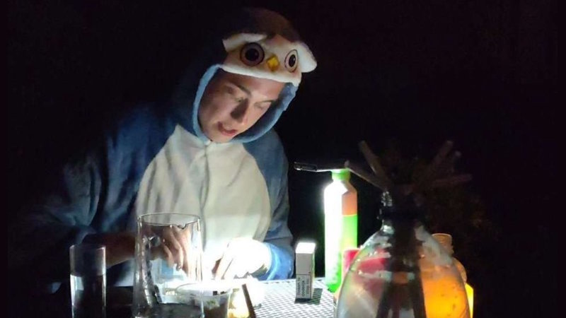 Elon Musk Babyfur Rumor depicting an image of a man resembling Musk wearing an owl onesie.